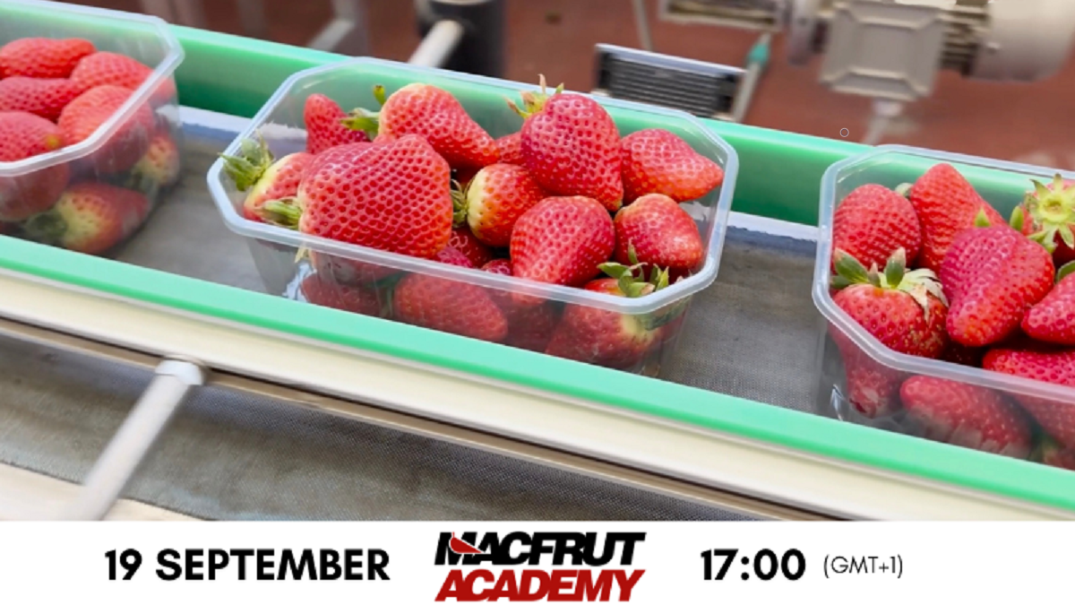 macfrut academy 19 september.png